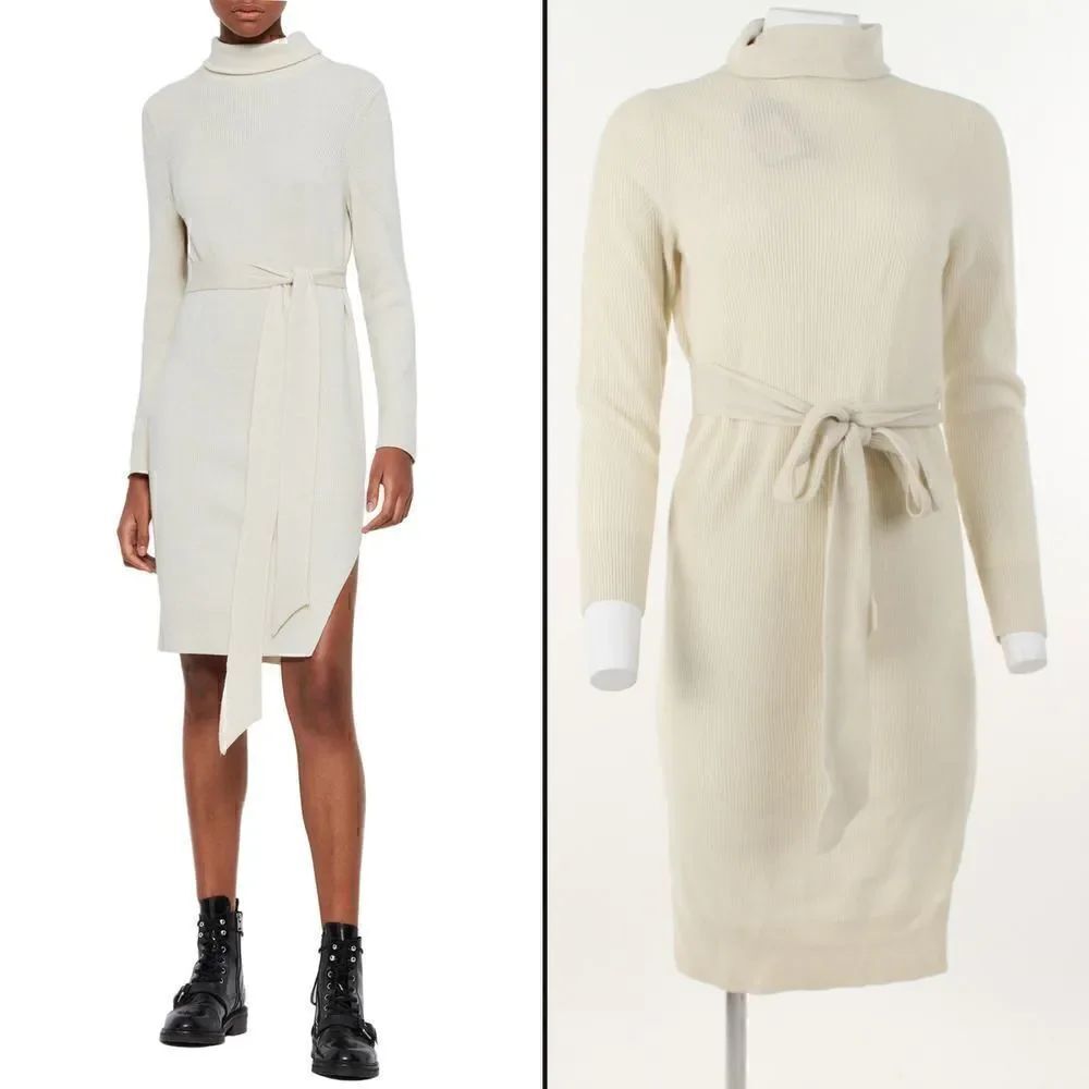 All Saints Roza Jumper Dress